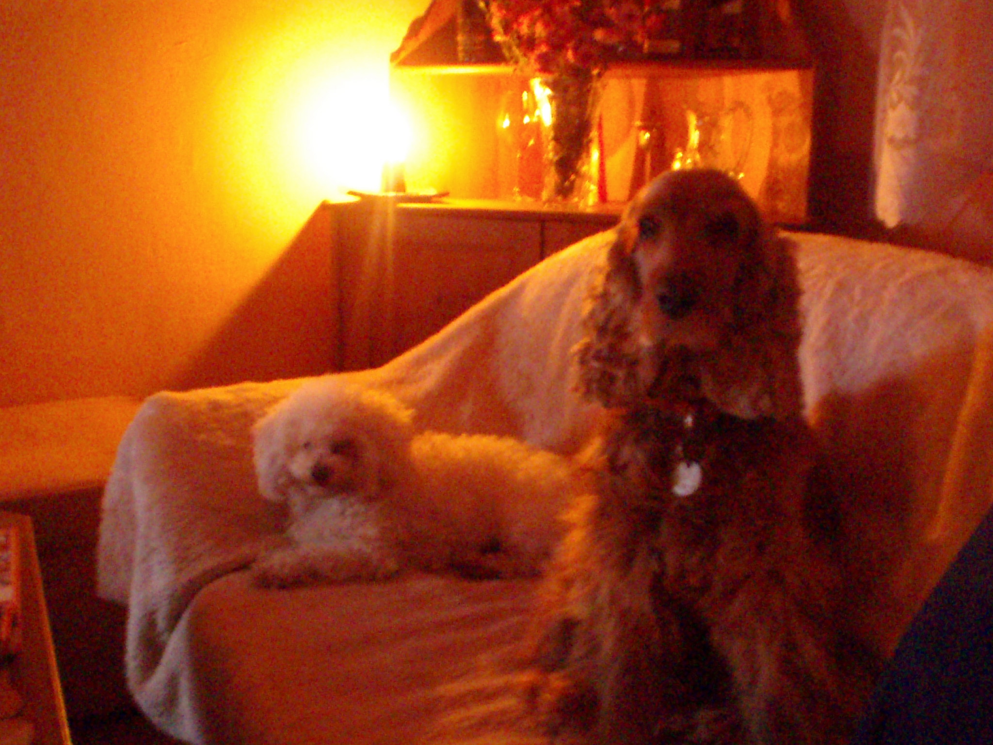 PA260034.JPG